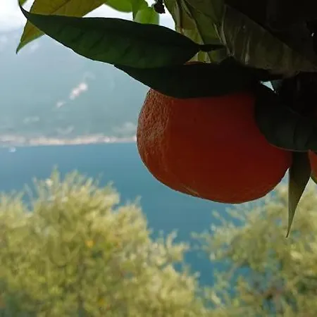 La Terrazzina