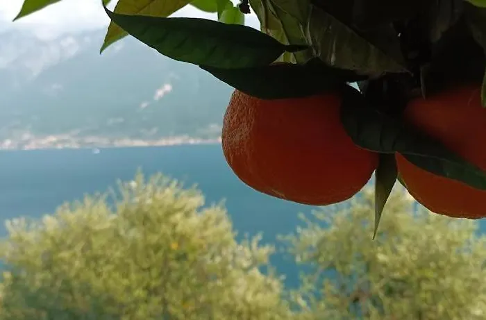 La Terrazzina